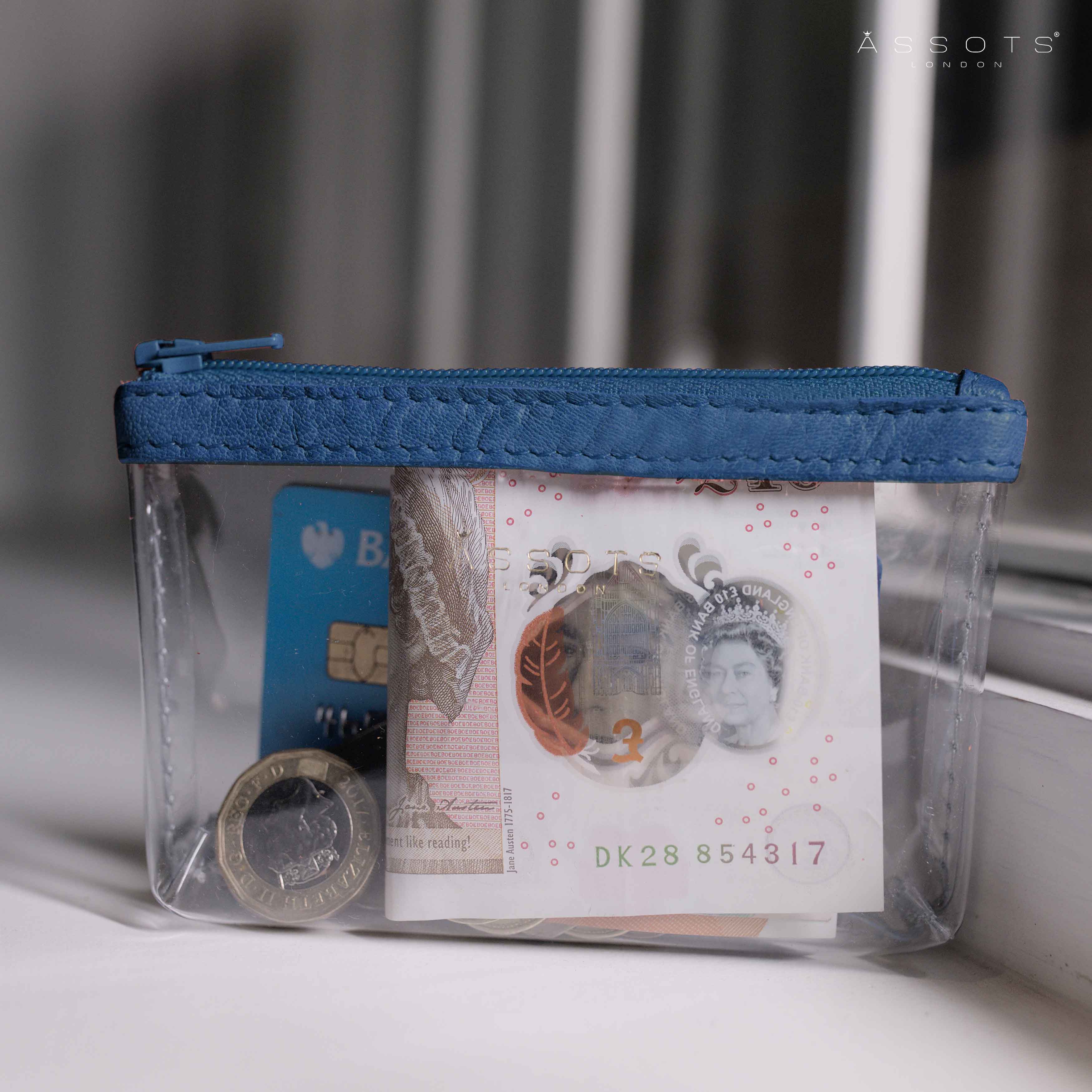 'DINAH' Transparent Zip Top Blue Iris Coin Purse