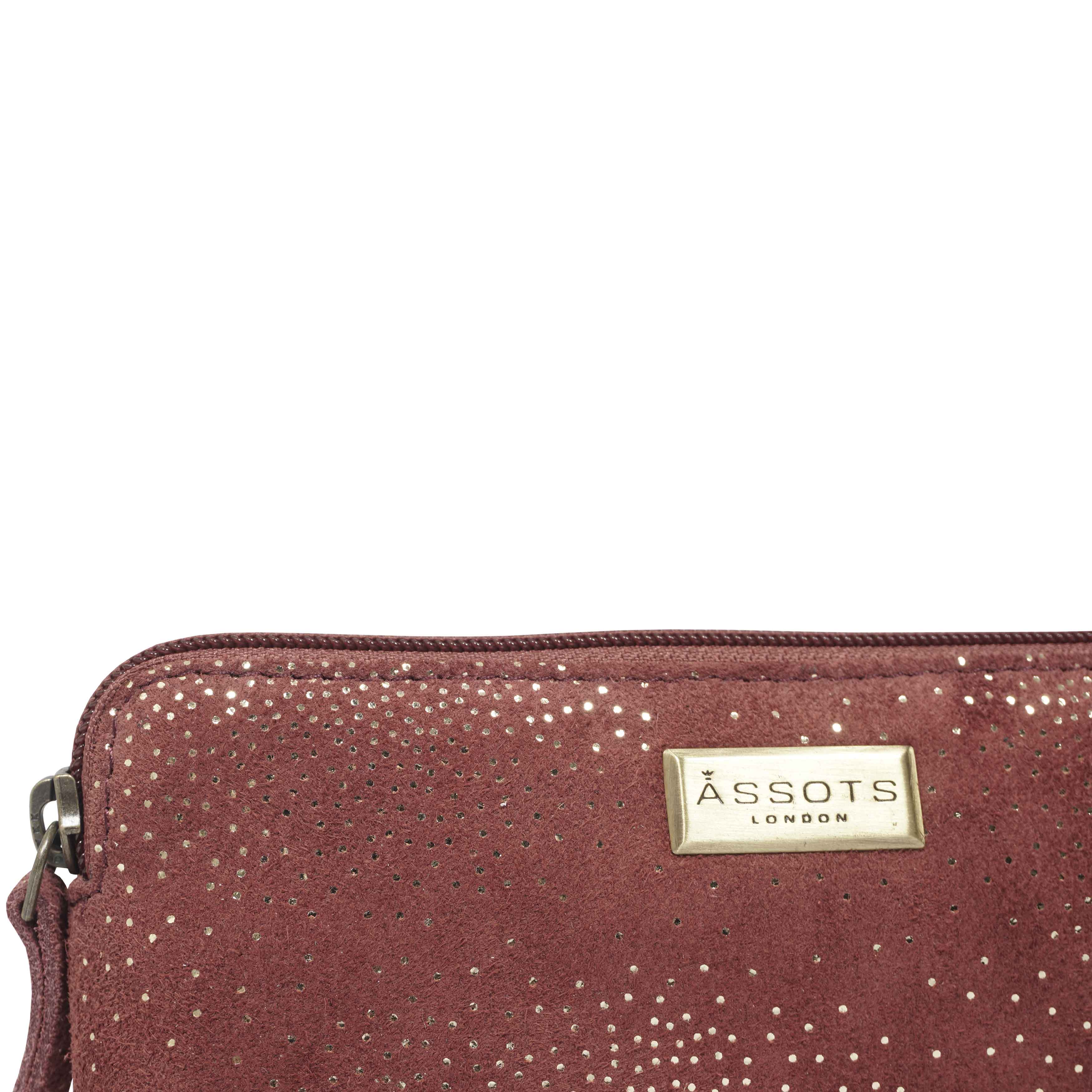 'EMILY' Small Maroon Red & Yellow Gold Sparkle Leather MakeUp Bag