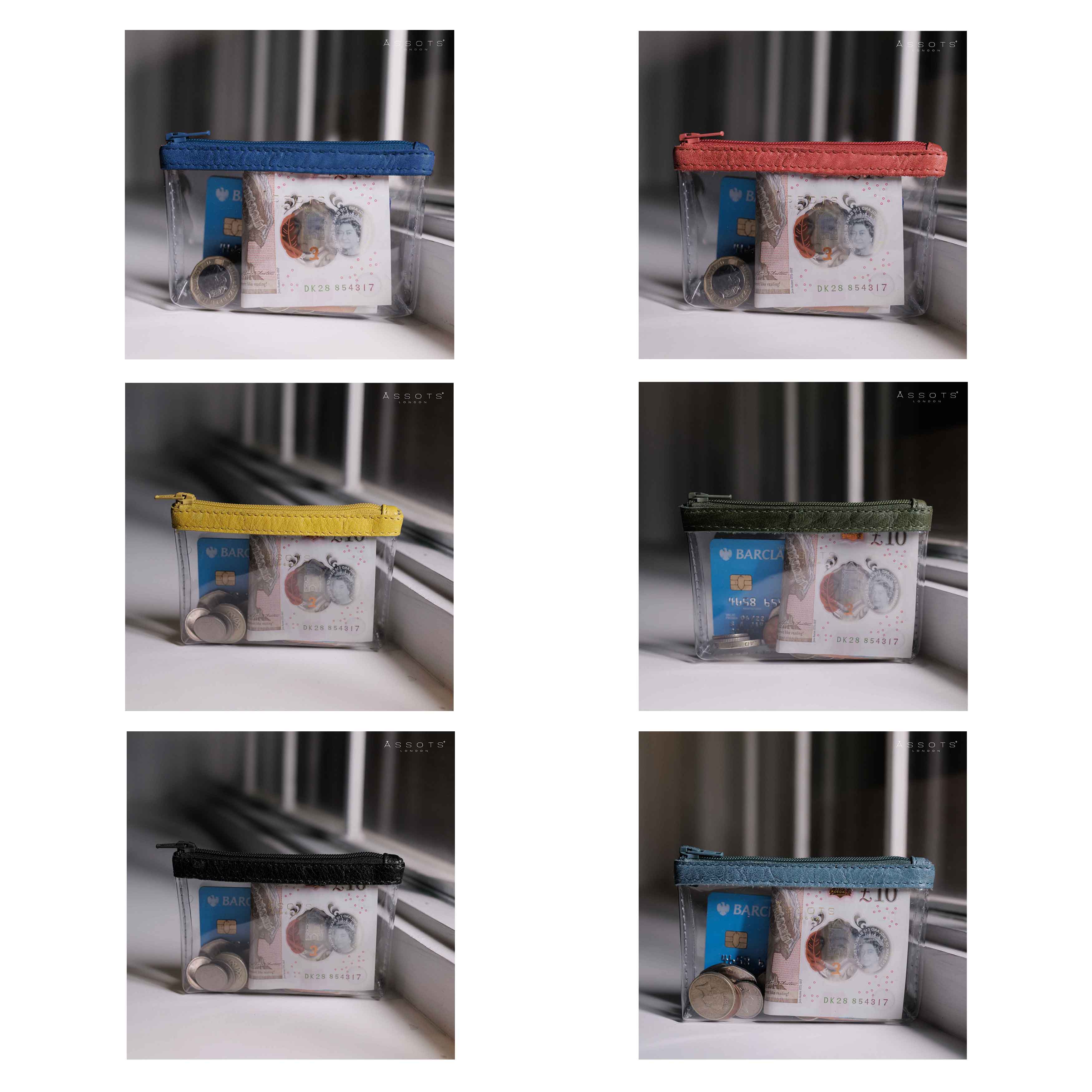 'DINAH' Transparent Zip Top Blue Iris Coin Purse